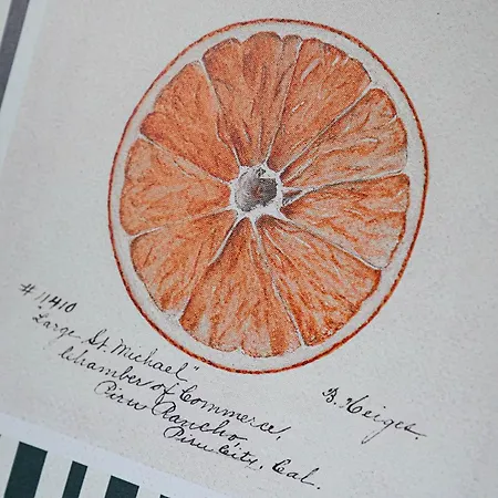 Appartement Alte Schule Klassenzimmer 3 Tating