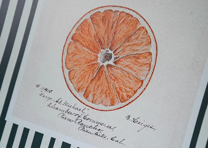 Appartement Alte Schule Klassenzimmer 3 Tating